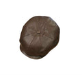 City Sport Fulham Urban Baker Boy Cap – Brown Grained Leather image 0