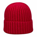 Bailey Lerner Chunky Knit  Beanie - Red image 0